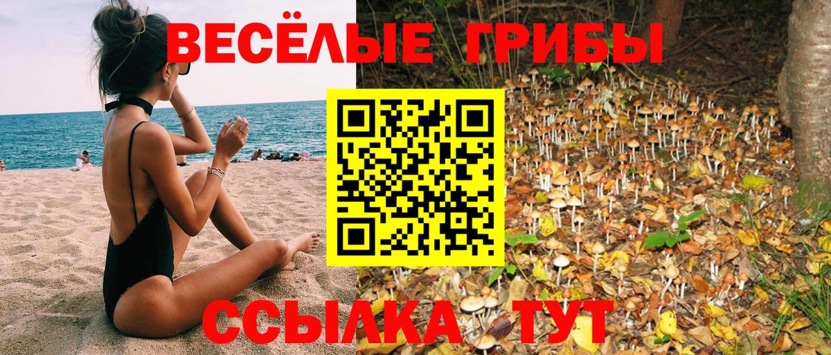 Галлюциногенные грибы Psilocybe  Вход с VPN  Черногорск 